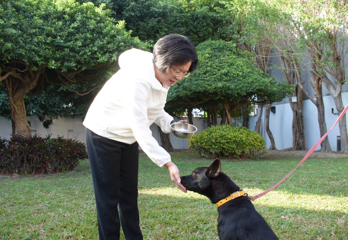 彰化縣遊蕩犬貓TNVR活動正式開跑 保障動物福利及民眾人身安全