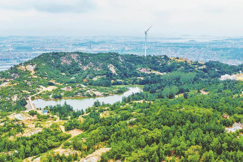 【媽祖故里】「點石成綠」 十年築起生態屏障