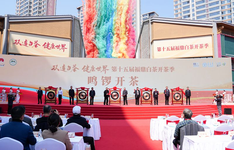 春山之上 茶香萬里 第十五屆福鼎白茶開茶季