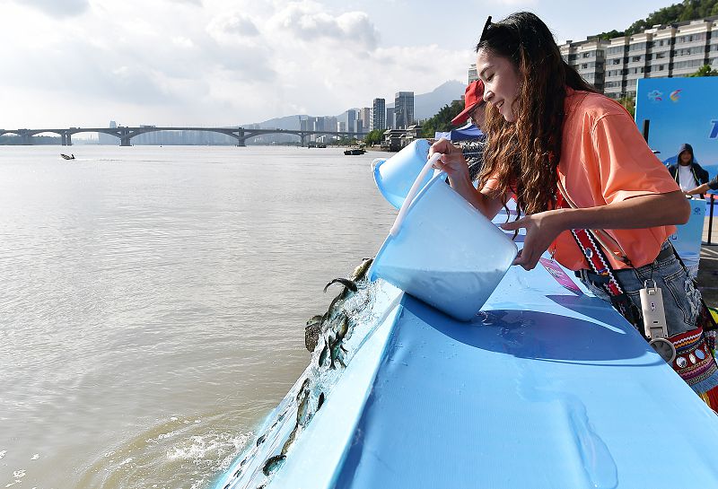 增殖放流超65萬尾魚苗 兩岸學生共營環保生態環境